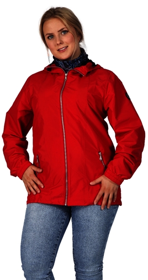 6602 Kaila 4291 (36-46)