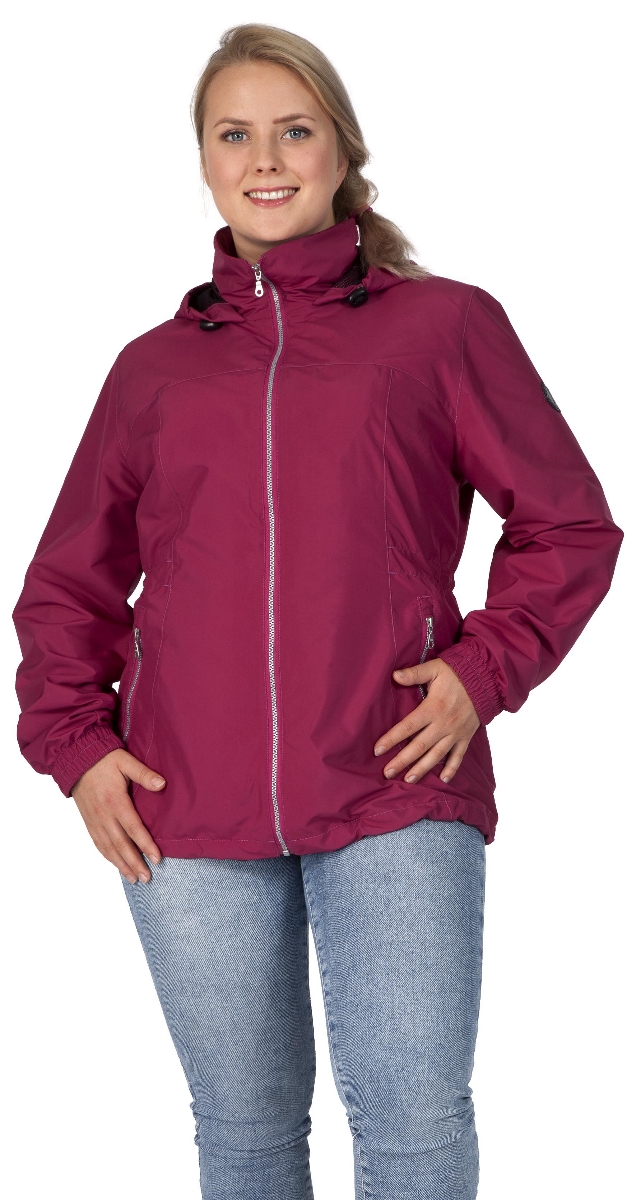 6610 Laura 4786 (D36-D54)