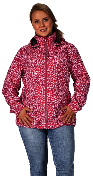 6611 Diana 172 (D36-D54)