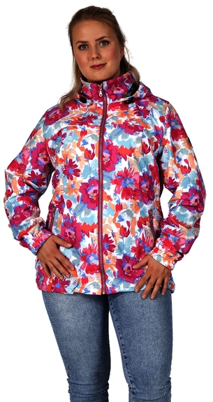 6611 Diana 176 (D36-D54)