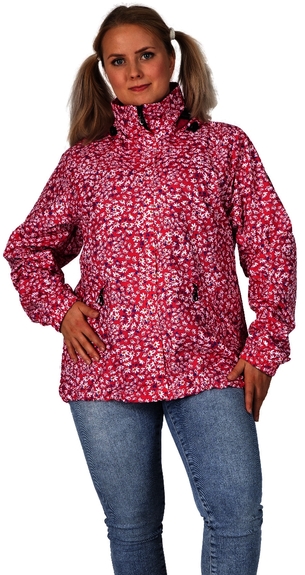 6615 Maria 172 (D36-D54)