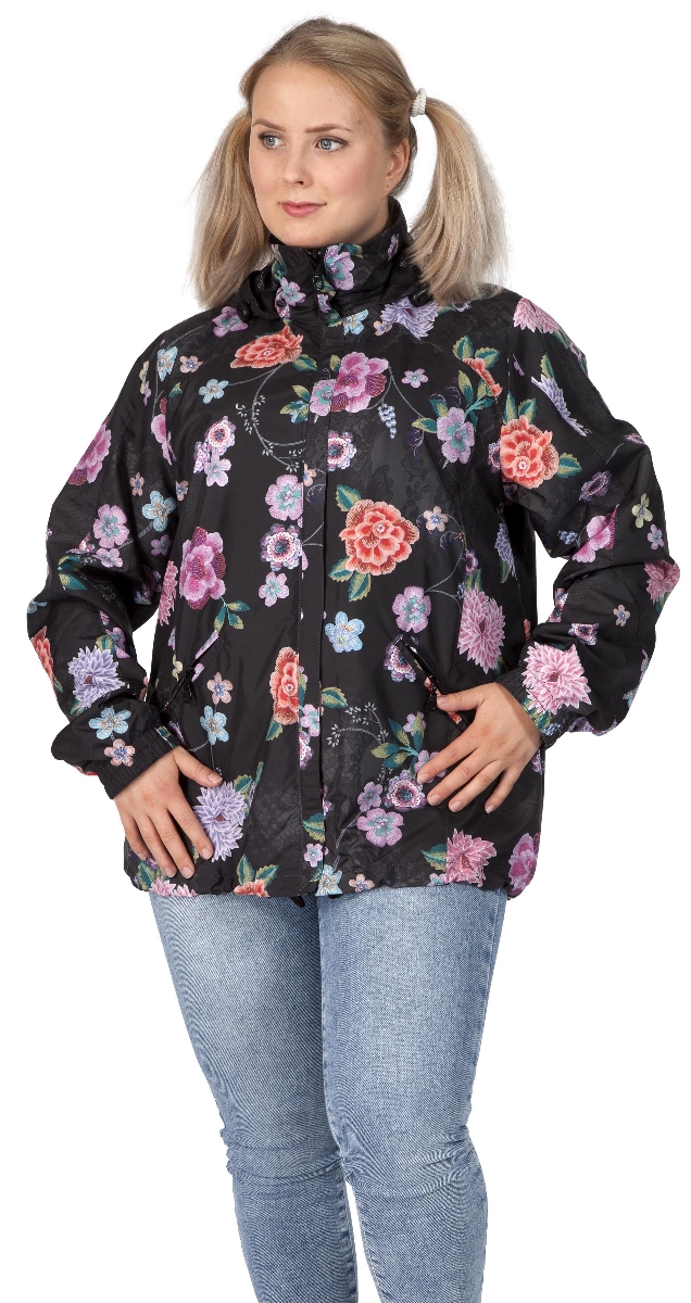 6615 Maria 173 (D36-D54)