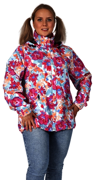 6615 Maria 176 (D36-D54)